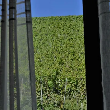 Séjour à la ferme Vitae Di Langa Grinzane Cavour
