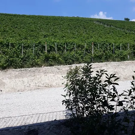 팜스테이 Vitae Di Langa 그린자네 카보르